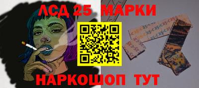 a pvp Свободный