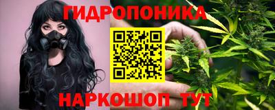 a pvp Свободный
