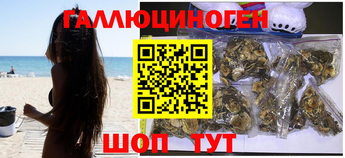 Псилоцибиновые грибы GOLDEN TEACHER Пенза